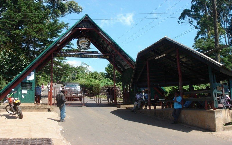 Marangu-route- (3)